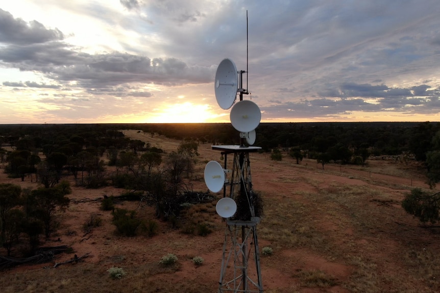 A cell phone tower in the middle of the countryside.